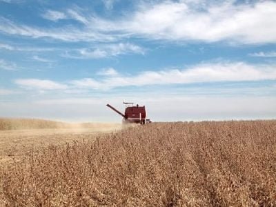 Crédito Shutterstock