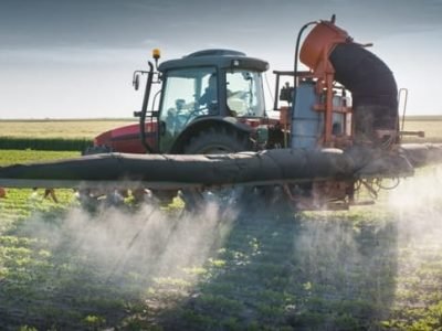 Crédito Shutterstock