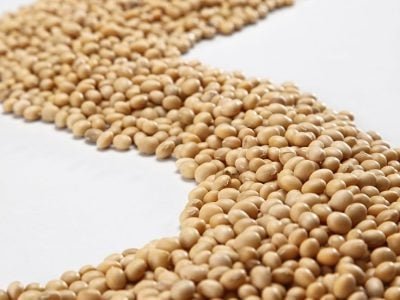 Crédito Shutterstock