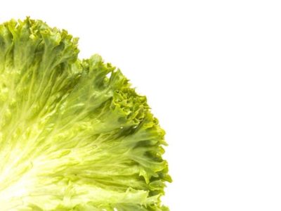 Crédito Shutterstock