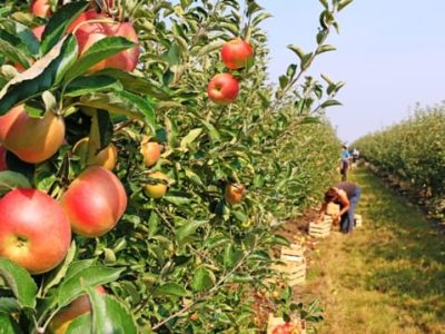 Crédito Shutterstock