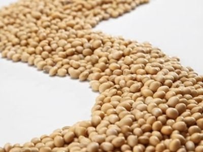 Crédito Shutterstock