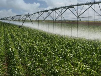 Crédito Shutterstock