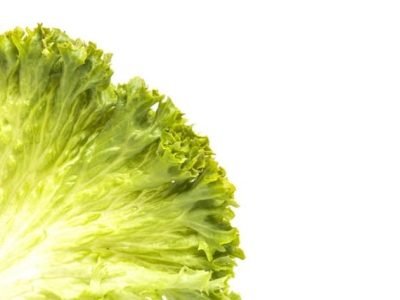 Crédito Shutterstock