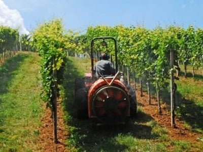 Crédito Shutterstock