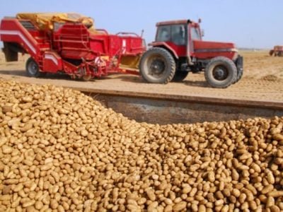 Crédito Shutterstock