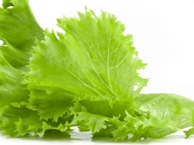 Crédito Shutterstock