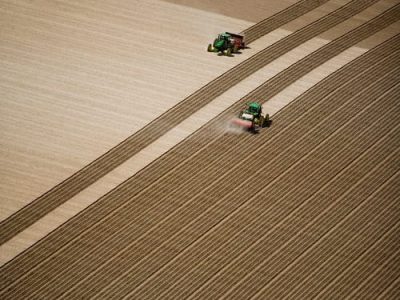 Crédito Shutterstock