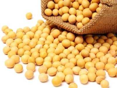 Foto 01 - Crédito Shutterstock