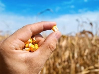 Crédito Shutterstock