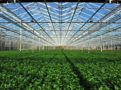 Crédito Shutterstock