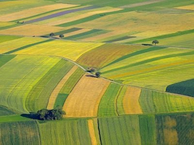 Crédito Shutterstock