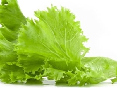 Crédito Shutterstock