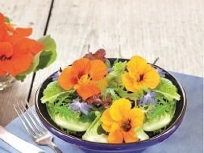 Crédito Shutterstock