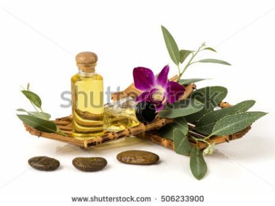 Crédito Shutterstock