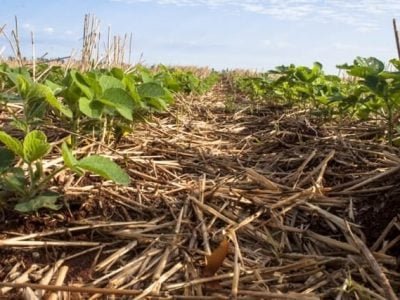 Crédito Shutterstock