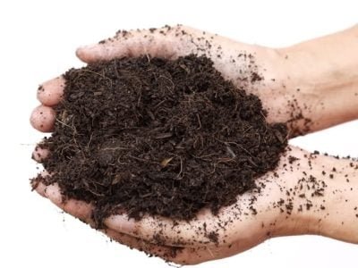 Crédito Shutterstock