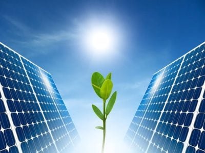 Crédito Shutterstock