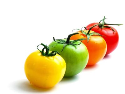 Crédito Shutterstock