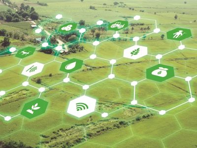 Crédito Shutterstock