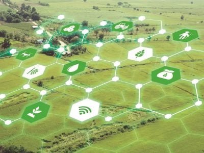 Crédito Shutterstock