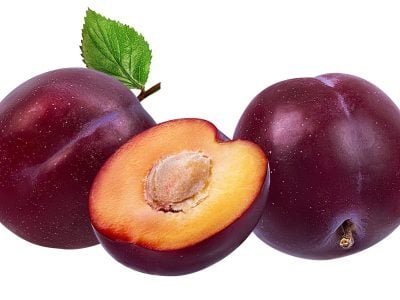 Crédito Shutterstock