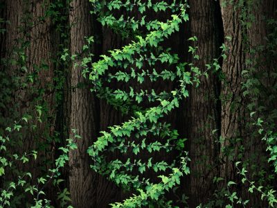 Crédito Shutterstock