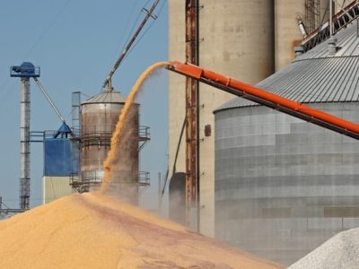 Crédito Shutterstock