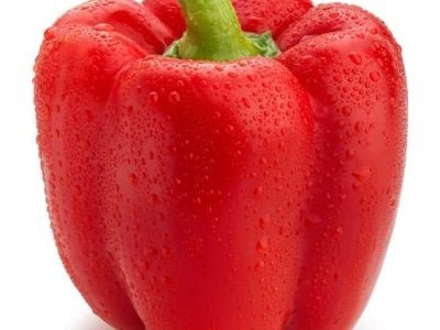 Crédito Shutterstock