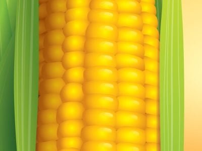 Crédito-Shutterstock