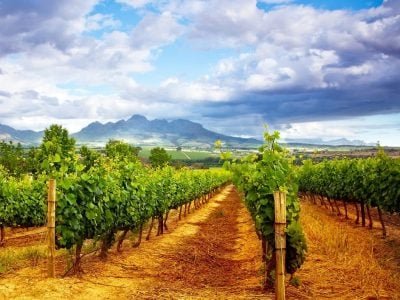 Crédito Shutterstock