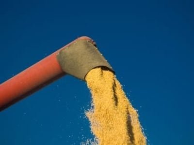 Crédito Shutterstock