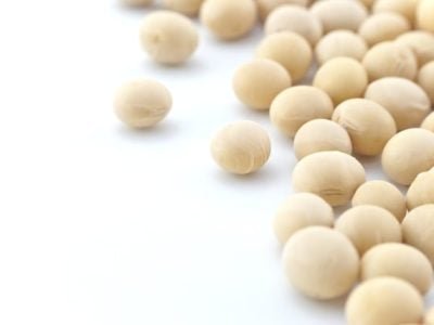 Crédito Shutterstock