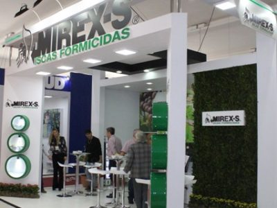 Crédito Shuttertock