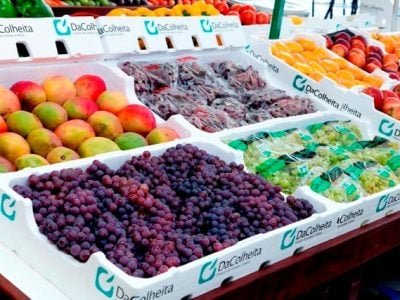 Foto-01-Crédito-Termotécnica