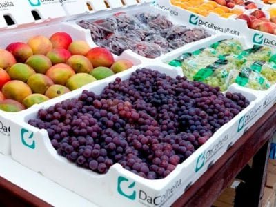 Crédito Termotécnica