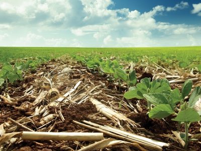 Crédito Tiago Tamiozzo