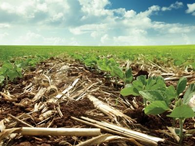 Crédito Tiago Tamiozzo