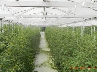 Crédito Wéber Velho