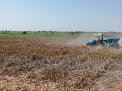 Crédito Wellingon Xavier