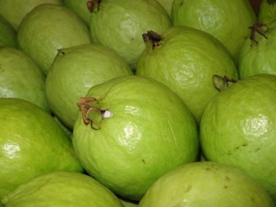 Crédito Willian Natale