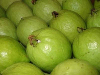 Crédito Willian Natale