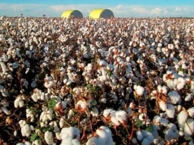 Crédito Yara Fertilizantes