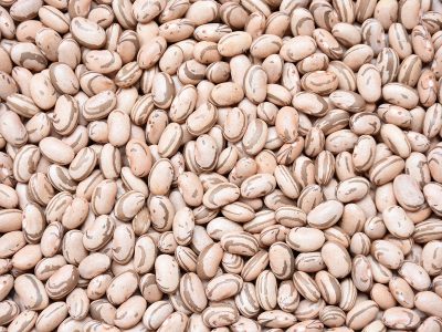 Crédito Leonardo Melo