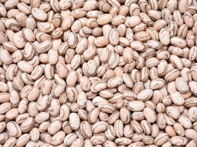 Crédito Leonardo Melo