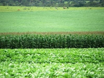 Crédito: Miriam Lins