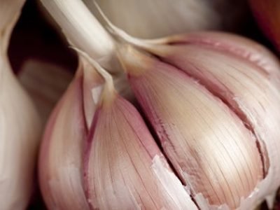 Crédito Shutterstock