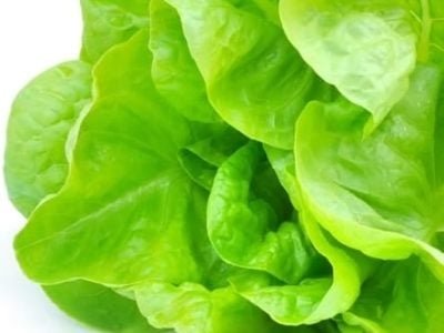 CréditoShutterstock