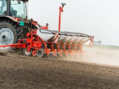 Crédito Shutterstock