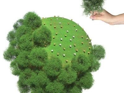 Crédito Shutterstock